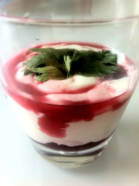 raspberry yogurt desert duo|ReciBellaさん