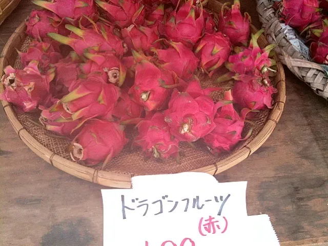 Dragon fruits@roadside freshmarket|松浦有里さん