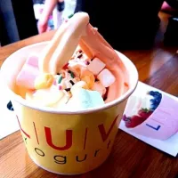 yogurt ice cream