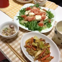 豚肉と野菜の味噌炒め、水菜とトマトと豆腐のサラダ|あんづさん