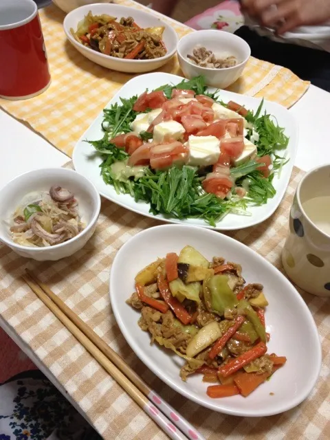 豚肉と野菜の味噌炒め、水菜とトマトと豆腐のサラダ|あんづさん