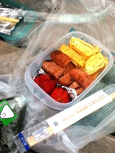 Snapdishの料理写真:ハイキング弁当|kkenzoさん