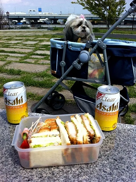 Snapdishの料理写真:南千住汐入公園でランチ（＾＿＾）☆|moririyyyさん