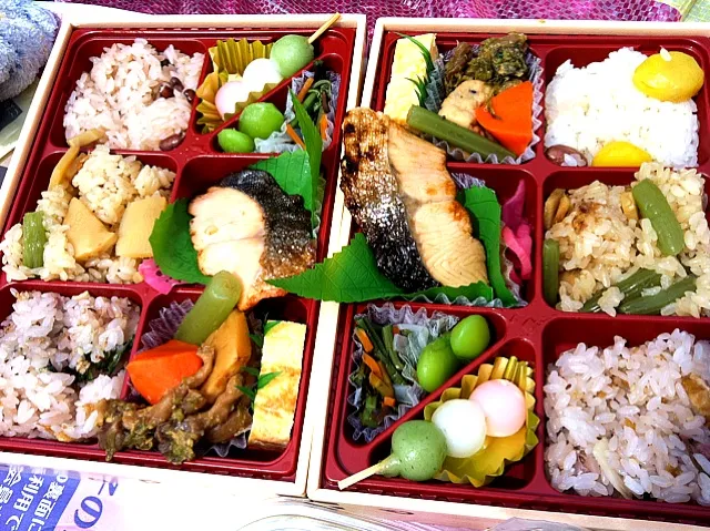 Snapdishの料理写真:お花見弁当|みさとさん