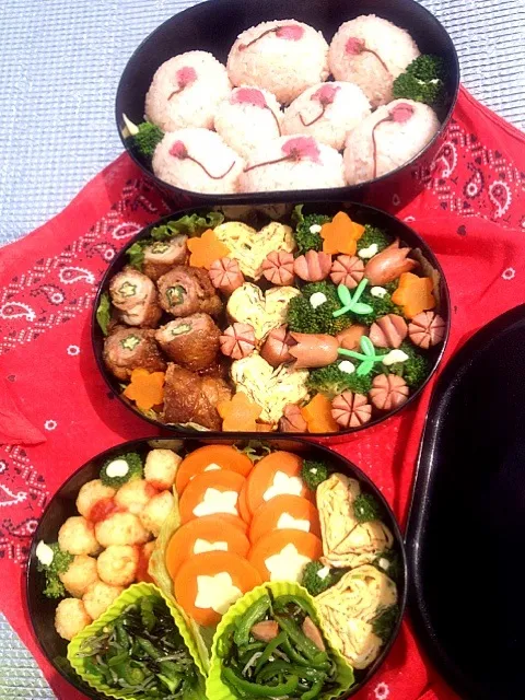 Snapdishの料理写真:お花見弁当|remiremireeさん