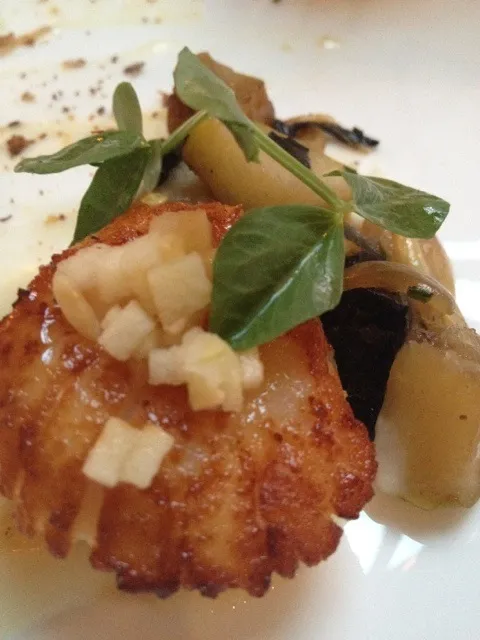 seared scallops|micky chanさん