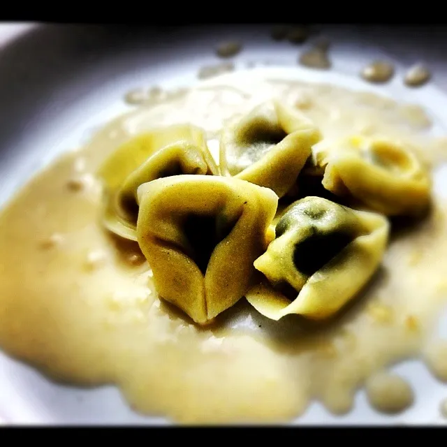 tortellini with gorgonzola cream sauce|jeanさん