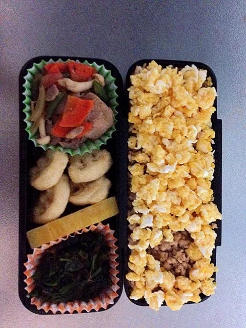 そぼろ弁当✨わかりにくいけどそぼろで❤作ってみました(*^◯^*)|児玉あやさん