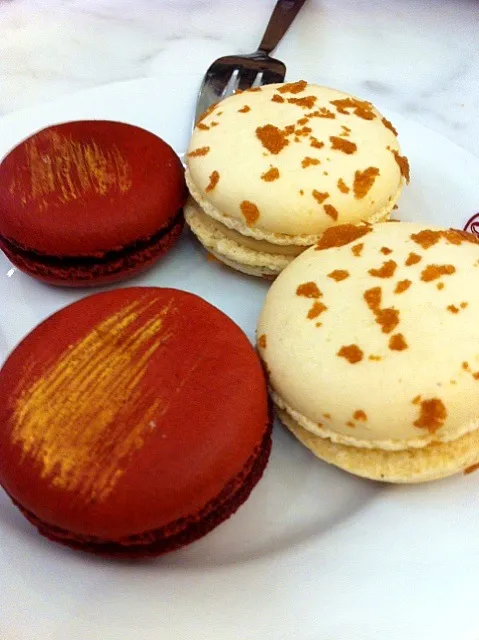 macarons from brunetti's|hurul | 후룰さん