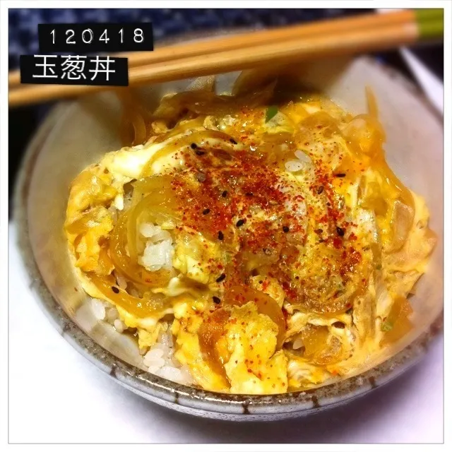 120418-玉葱丼|dune725さん