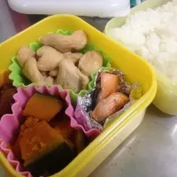 初弁当|りなさん