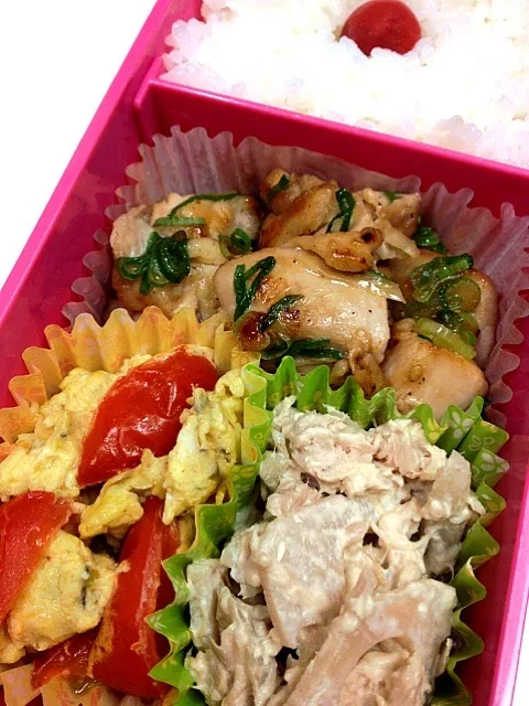 Snapdishの料理写真:娘のお弁当4/20|killertuneさん