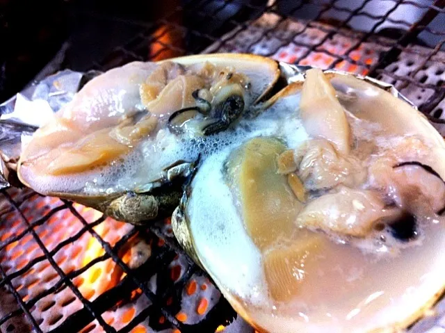 しつこい様ですんません。僕も疲れと飽きが来たのでラストにします。三重県、桑名から地蛤を！中でも大きく旨味が詰まったものよったよ！焼いても良し、握りはスープも付けまつ毛！以上！|金子 雄介さん