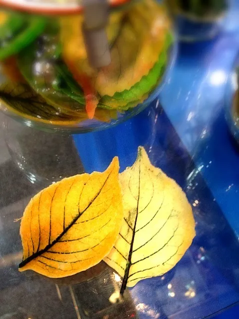 Snapdishの料理写真:leaf biscuit|willzさん