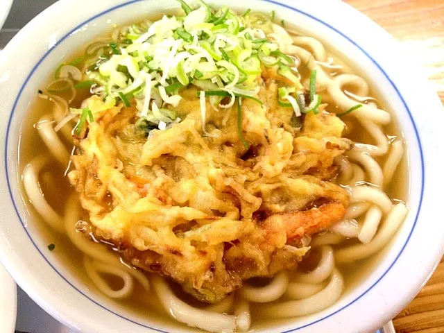 野菜天うどん|TanTanさん