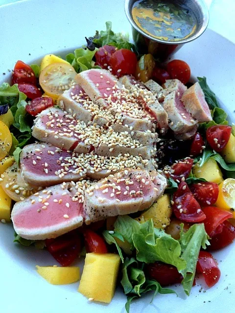 Ahi Tuna Salad|David Armondさん