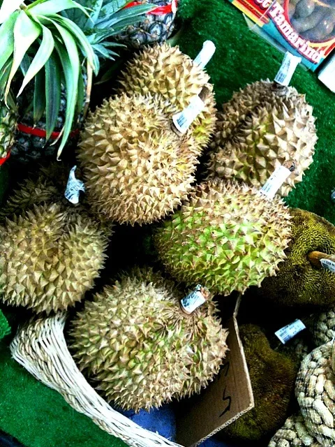 Durian in philipphine ;)|ymisatoさん