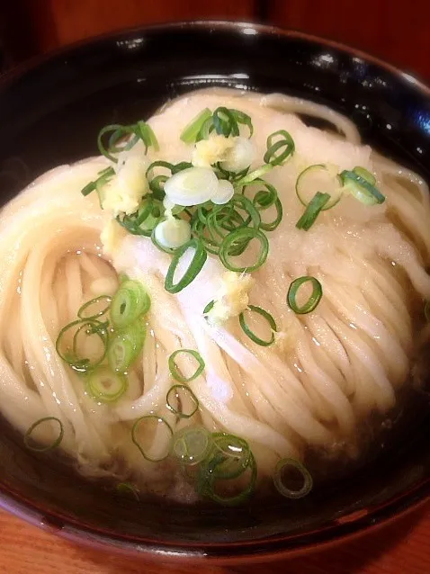 Snapdishの料理写真:ひやかけうどん|ichikawaさん