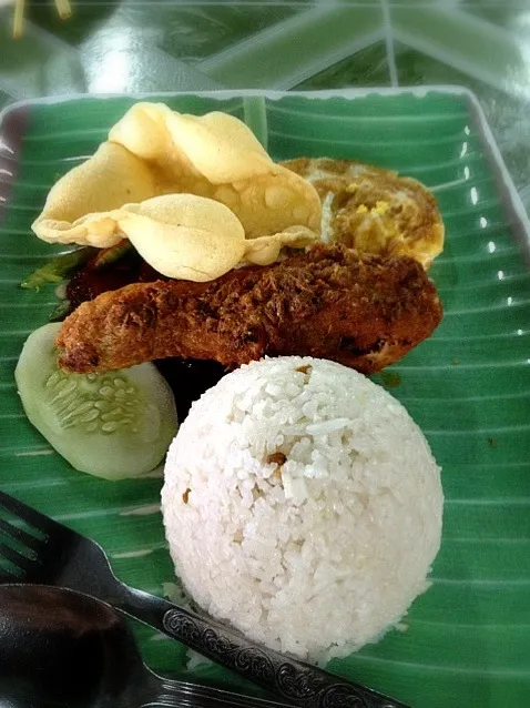 coconut rice permas (JB) nasi lemak|willzさん