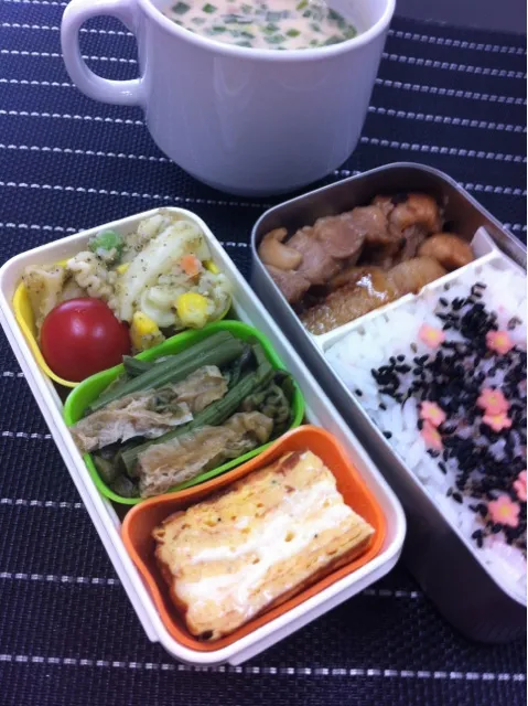 今日のお弁当|和田由貴さん