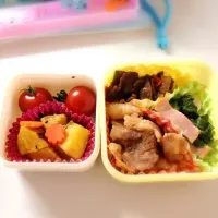 お弁当|SWPTさん