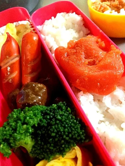 Snapdishの料理写真:久しぶり弁当|＊あかね＊さん