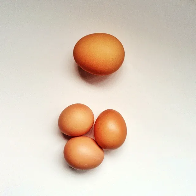 Mini eggs|(=^x^=)さん