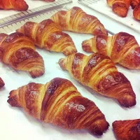 Snapdishの料理写真:croissant|luwocaさん