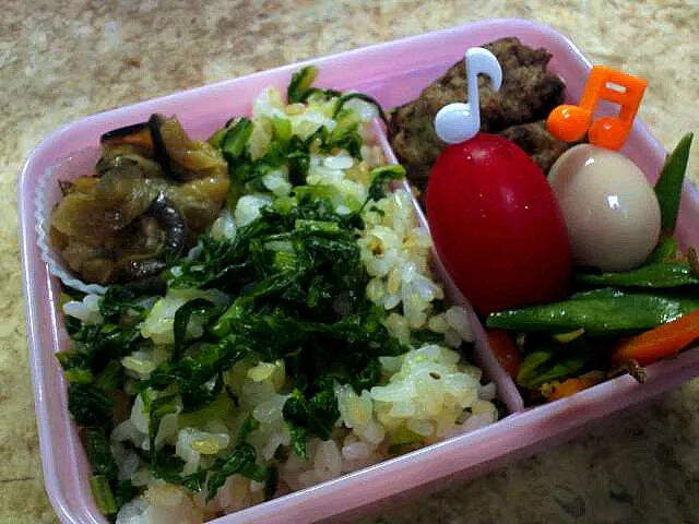 Snapdishの料理写真:鶏胸とレバーの肉団子弁当|Akikoさん