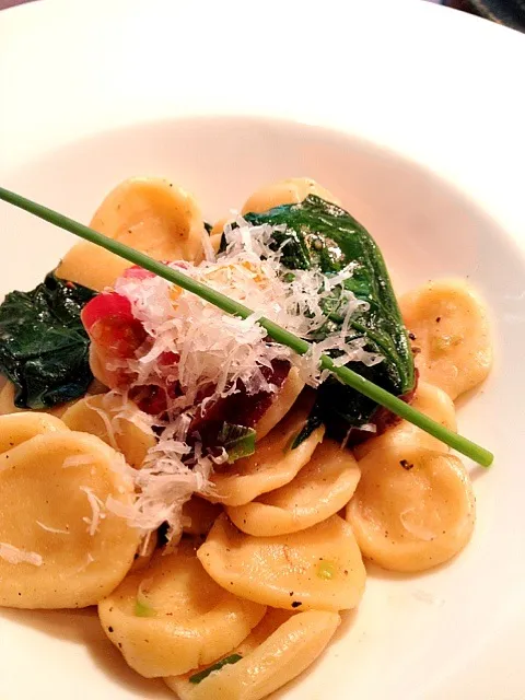 orechiette and andouille sausage|lauren shannonさん