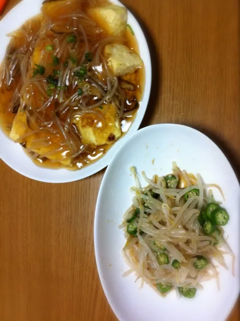 あんかけ豆腐ステーキともやしナムル|わかなさん