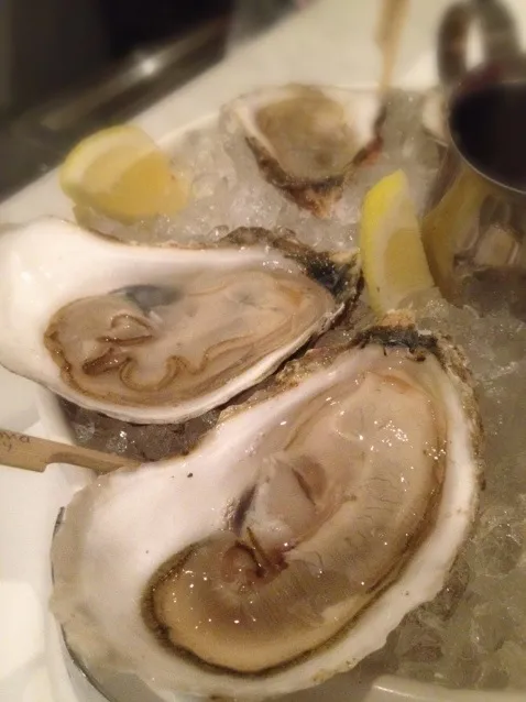 boston area oysters|willzさん