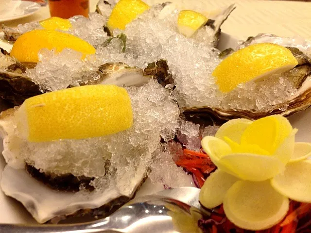 freshly shucked oysters|(=^x^=)さん