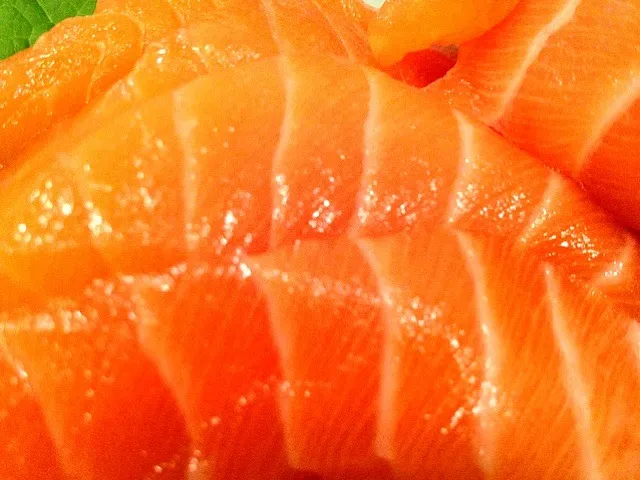 Salmon Sashimi|JJ Teeraさん