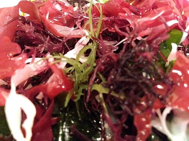 real Japanese seaweed salad|JJ Teeraさん