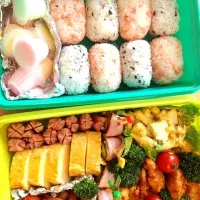 行楽弁当|さやかさん