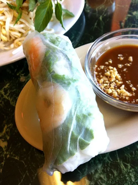 Fresh Spring Roll|Yiyi Chenさん