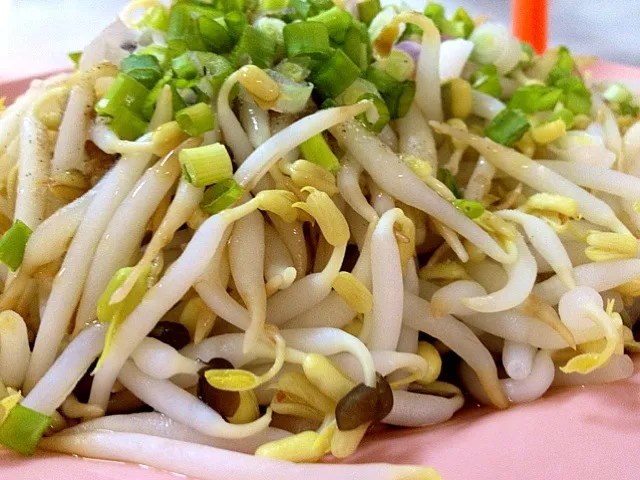 Snapdishの料理写真:Ipoh bean sprouts 怡保芽菜|(=^x^=)さん