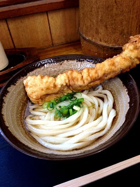 Snapdishの料理写真:ひやひやうどん|saoさん