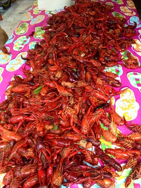 Snapdishの料理写真:Boiled Crawfish|David Armondさん