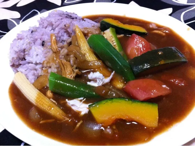 鶏ササミと野菜カレー|雨林さん