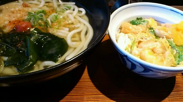 生わかめと梅うどん、小海老丼|媛っ子みかんさん