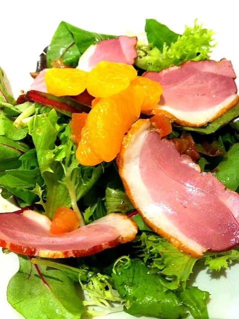 duck salad!|hannahさん