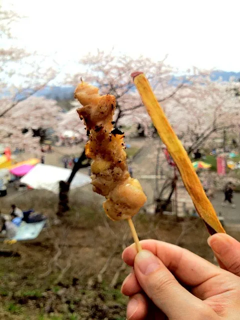 焼き鳥とさつまスティック|Masato Onukiさん