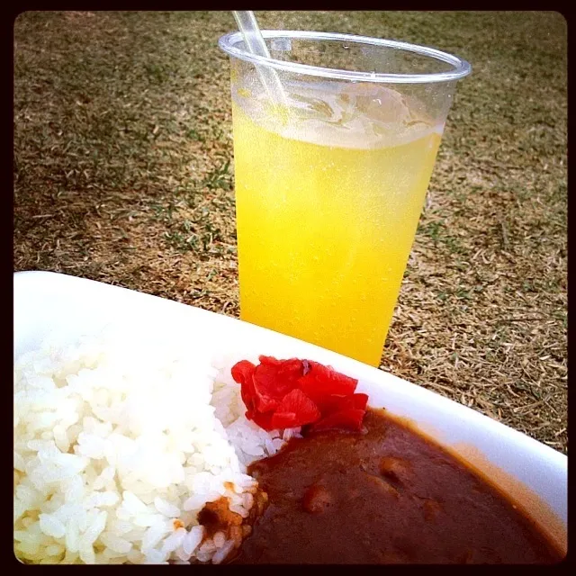 ひよこ豆カレー・笠間陶炎祭り|ogawaさん