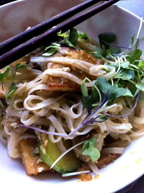 Snapdishの料理写真:Pad thai w/ tofu eggplants zuchini|Celine Cossou-Bordesさん