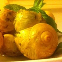 Snapdishの料理写真:pesto stuffed escargot