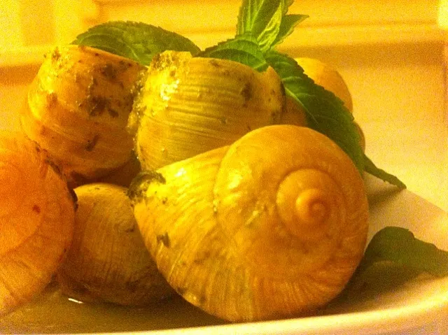 pesto stuffed escargot|ReciBellaさん