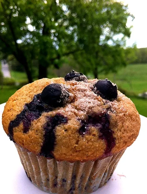 Lemon blueberry whole wheat muffin|Dean M Rogersさん