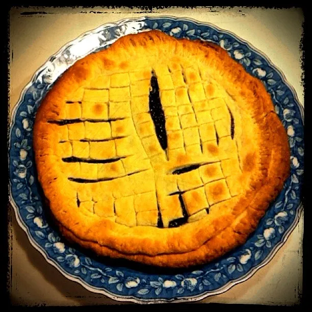 Snapdishの料理写真:Carolina Mountain Blackberry Pie|CharlesTStewartさん